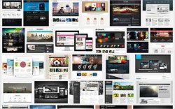 wordpressthemes-100300