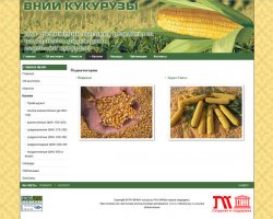 vniikukuruzy